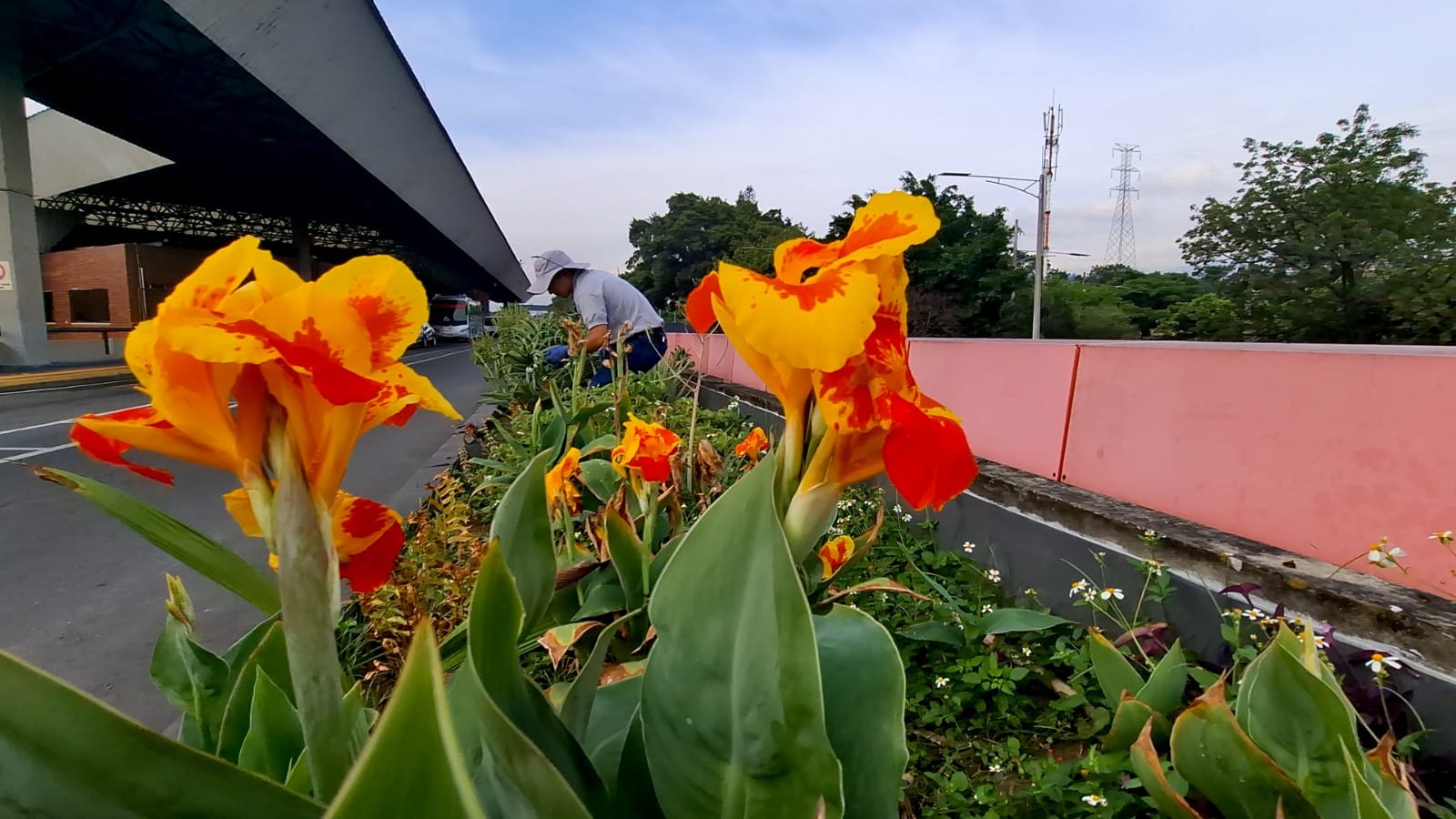 Medellín se prepara para recibir a 280.000 visitantes durante la Feria de las Flores